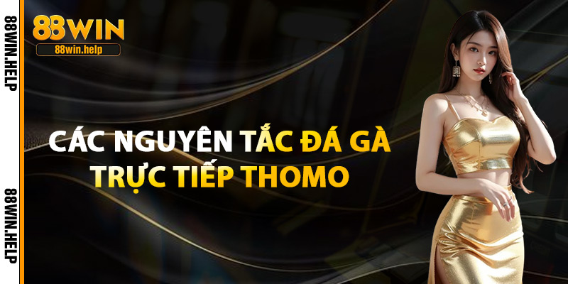 Đá Gà Trực Tiếp Thomo – Sới Gà Campuchia Đỉnh Cao 2025 3 Các Nguyên Tắc Đá Gà Trực Tiếp Thomo