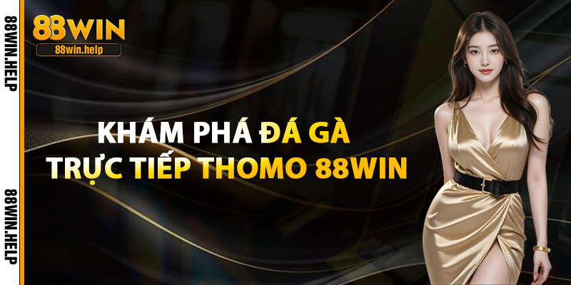 Đá Gà Trực Tiếp Thomo – Sới Gà Campuchia Đỉnh Cao 2025 2 Khám Phá Đá Gà Trực Tiếp Thomo 88Win