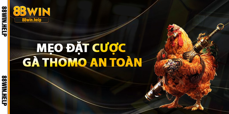 Đá Gà Trực Tiếp Thomo – Sới Gà Campuchia Đỉnh Cao 2025 4 Mẹo Đặt Cược Gà Thomo An Toàn